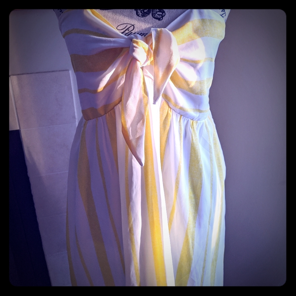NWT Sundress